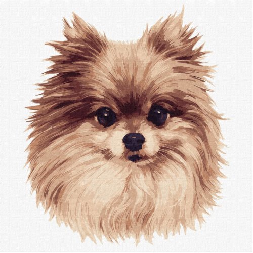 Набор для росписи номеров. "Пушистое чудо" 30х30см KHO4298