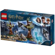 Конструктор Lego Harry Potter  Экспекто Патронум (75945)