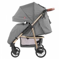 Коляска прогулочная CARRELLO Echo CRL-8508/1 Midnight Gray +дождевик L