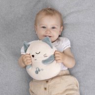 Музыкальная игрушка с вибрацией Chicco Муркотик 11567.00