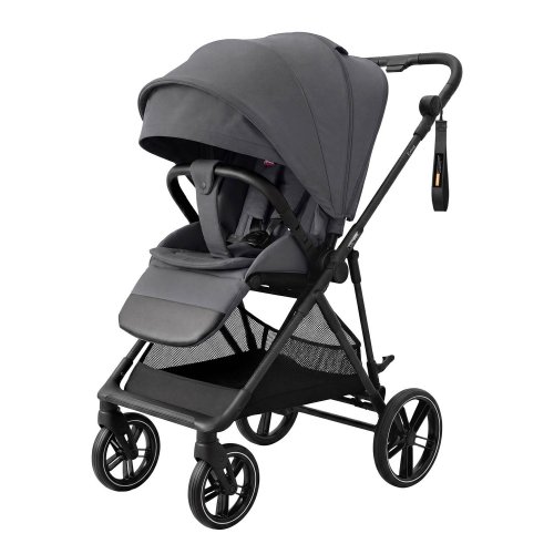 Прогулочная коляска Carrello Extra CRL-5532 Chrome Grey