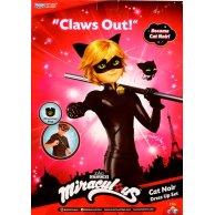 Игровой набор Playmates Toys Леди Баг и Супер-Кот Превращение Супер-Кота P50603