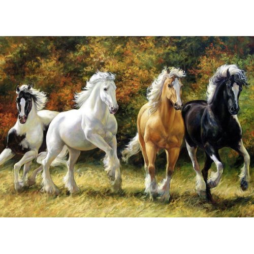 Пазлы Castorland 4000 эл. Лошади