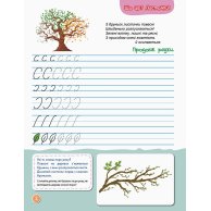 КЕНГУРУ Первые прописи. 5+ Пишем в линейку (Укр)