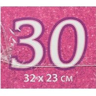 Пазлы Castorland 30 эл. "Winx"