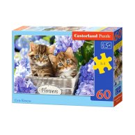 Пазлы Castorland 60 эл. Милые котята (B-066087)