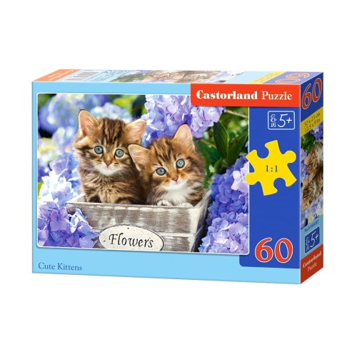 Пазлы Castorland 60 эл. Милые котята (B-066087)