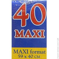 Castorland пазлы 40maxi На вокзале (B-040216)