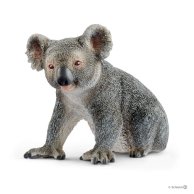 Коала