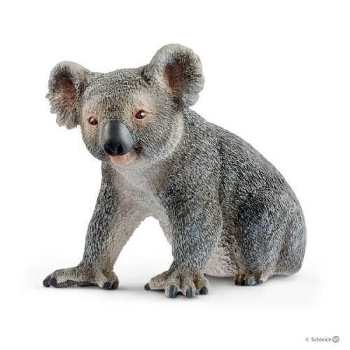 Коала