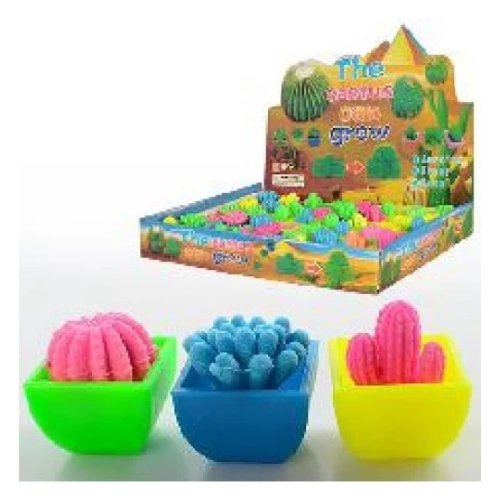 Растущий цветок кактус (E12611)