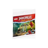 Конструктор Lego Ninjago Битва Кая и Раптона за Храм, 47 деталей 30650