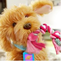 Мягкая интерактивная игрушка My Fuzzy Friends Лабрадудль Moji Моджи 18207-UKR-ENG