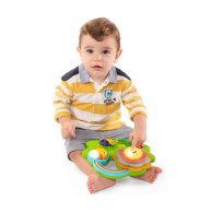 Музыкальная игрушка Chicco со световыми эффектами Sensory Flower 10156.00