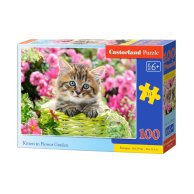 Пазлы Castorland 100 эл. Котёнок в цветочном саду