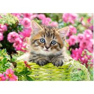Пазлы Castorland 100 эл. Котёнок в цветочном саду