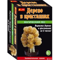 Набор для опытов "Сад пушистых кристаллов. Магический лес" (оранжевый)