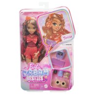 Кукла Mattel Barbie Барби Dream besties Тереза HYC23