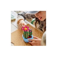 Конструктор Lego Botanicals Цветение кактуса, 482 детали 11509