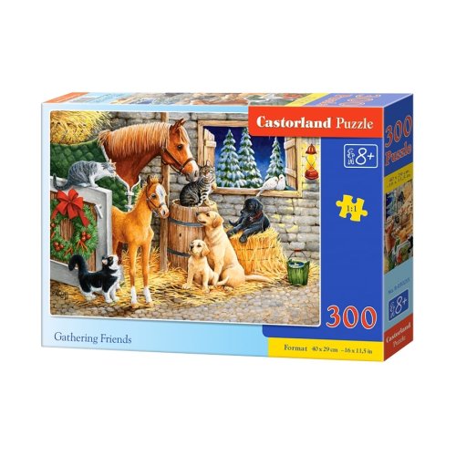 Пазлы Castorland 300 эл. Друзья (B-030255)