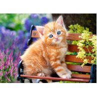 Пазлы Castorland 180 эл. Рыжий котенок (B-018178)