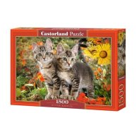 Пазлы Castorland 1500 эл. Котята (C-151899)