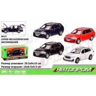 Машина металл "АВТОПРОМ" (6612)