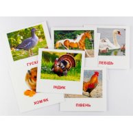 Карточки мини Домашние животные (укр) (65945)