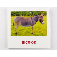 Карточки мини Домашние животные (укр) (65945)