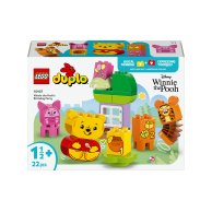 Конструктор Lego Duplo Disney День рождения Винни Пуха, 22 детали 10457