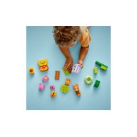 Конструктор Lego Duplo Disney День рождения Винни Пуха, 22 детали 10457