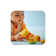 Конструктор Lego Duplo Disney День рождения Винни Пуха, 22 детали 10457