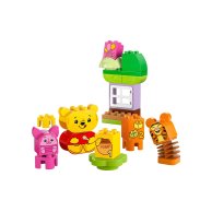 Конструктор Lego Duplo Disney День рождения Винни Пуха, 22 детали 10457