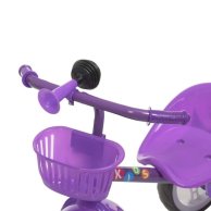 Трехколесный велосипед Profi Kids фиолетовый М 4549 B