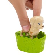 Набор Barbie "Купай и играй"