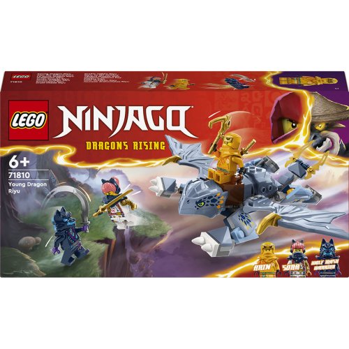 Конструктор Lego Ninjago Молодой дракон Рию, 132 детали 71810