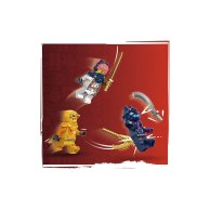Конструктор Lego Ninjago Молодой дракон Рию, 132 детали 71810
