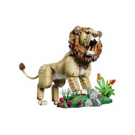 Конструктор Lego Creator 3в1 Дикие животные: Величественный лев, 839 деталей 31386