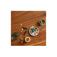 Конструктор Lego Botanicals Мини орхидея, 274 детали 10343