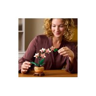 Конструктор Lego Botanicals Мини орхидея, 274 детали 10343