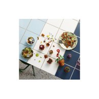 Конструктор Lego Icons Botanicals Маленькие цветы, 758 деталей 10329