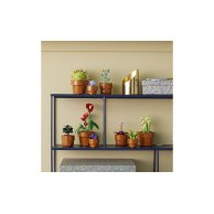 Конструктор Lego Icons Botanicals Маленькие цветы, 758 деталей 10329