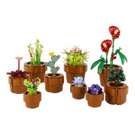 Конструктор Lego Icons Botanicals Маленькие цветы, 758 деталей 10329