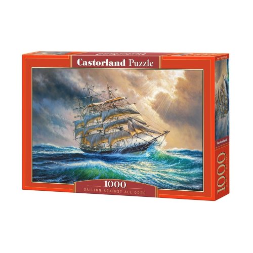 Пазлы Castorland 1000 эл. "Шторм" (C-104529)
