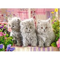 Пазлы Castorland 260 эл. Три серых котенка (B-27491)