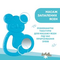 Прорезыватель для зубов Chicco Коала, голубой 28150.20