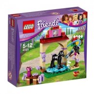 Конструктор Lego Friends Купание жеребенка в конюшне (41123)