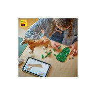 Конструктор Lego Creator 3в1 Прекрасная лошадь, 685 деталей 31166