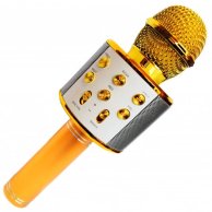 Микрофон WS858  23см