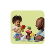 Конструктор Lego Duplo Мои первые сильные чувства и эмоции, 23 детали 10415